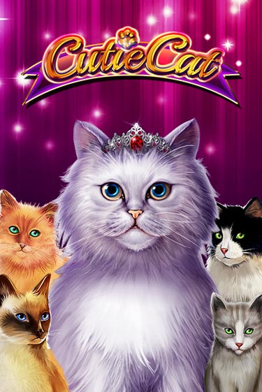 Cutie Cat бесплатная демо игра онлайн казино | Poker Dom